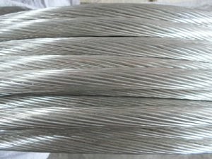 bte365(中国)唯一官方网站