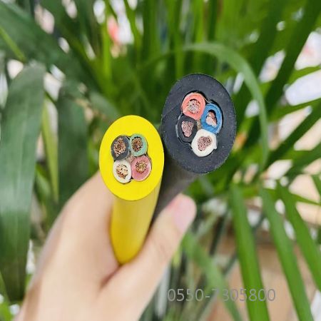 bte365(�й�)Ψһ�ٷ���վ