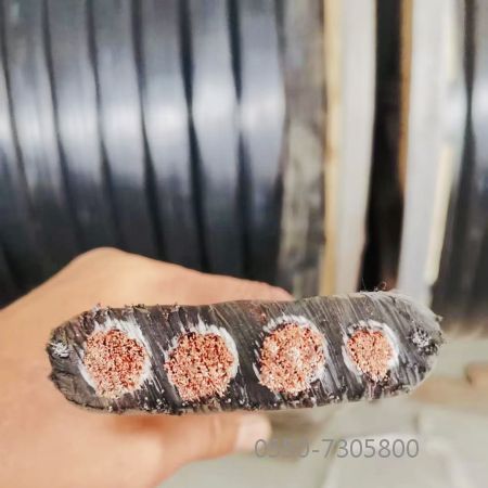 bte365(中国)唯一官方网站