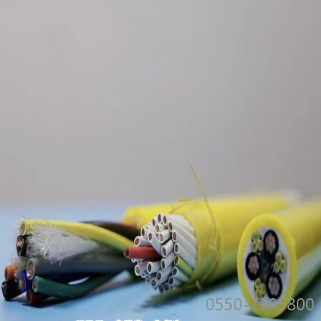 bte365(中国)唯一官方网站