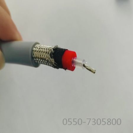 bte365(中国)唯一官方网站