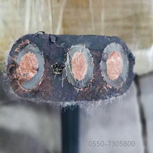 bte365(�й�)Ψһ�ٷ���վ