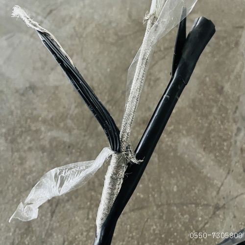 bte365(中国)唯一官方网站