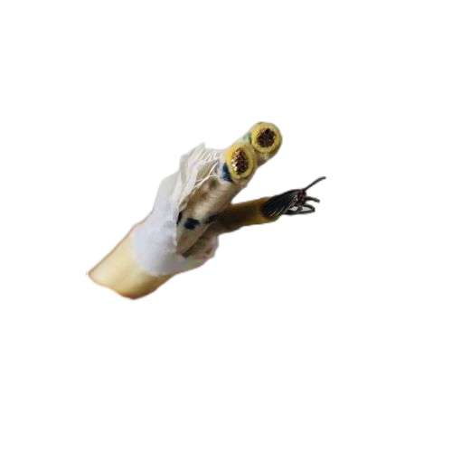 bte365(�й�)Ψһ�ٷ���վ
