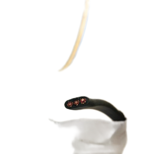 bte365(�й�)Ψһ�ٷ���վ
