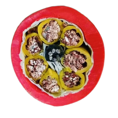 bte365(中国)唯一官方网站