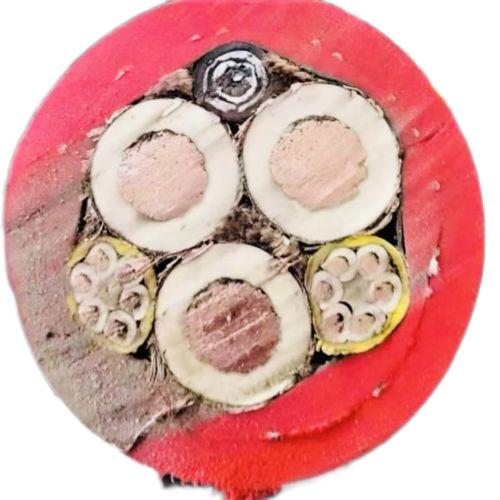 bte365(�й�)Ψһ�ٷ���վ